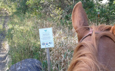 Ridgeville Trail Ride – June 3rd