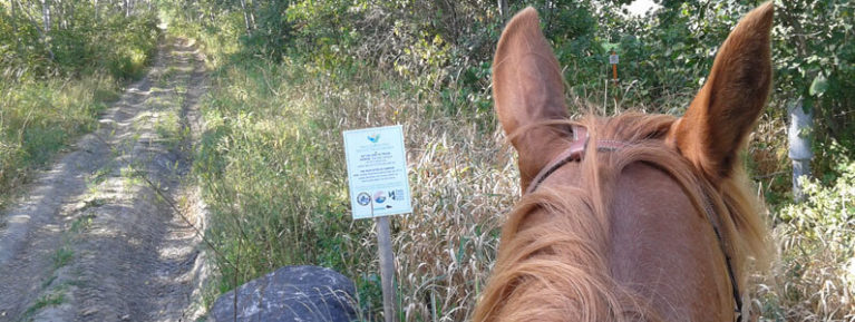 Ridgeville Trail Ride – June 3rd