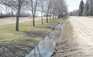 Some Damage is Being Done by All-Terrain Vehicle Traffic